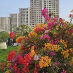 برج رویای کیش