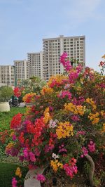 برج رویای کیش